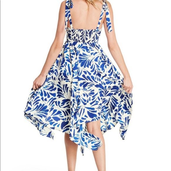 *Last Day* Alexis X Target Blue White Floral Dress - Picture 6 of 6